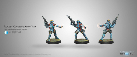 Locust; Clandestine Action Team (Hacker)