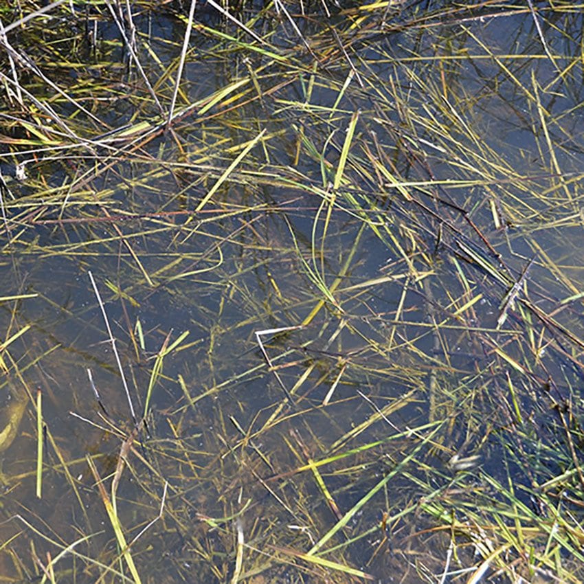 AK8008 Still Water (250mL) (Acrylic)