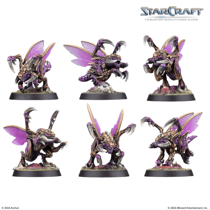 STARCRAFT® TWO PLAYER STARTER SET FOUNDERS EDITION ENGLISCH