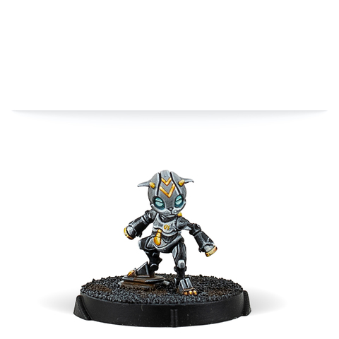 Tian Gou; Orbital Activity Squad
